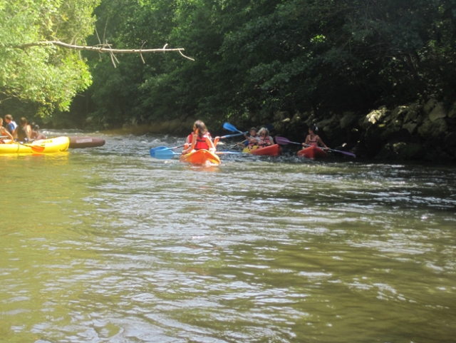  Descenso del Leyre en piragua y kayak 